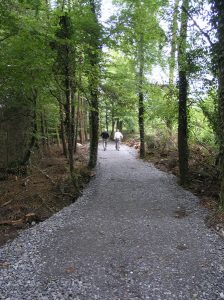 Rathwood Forest Walk