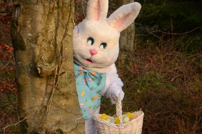 Easter bunny at Rathwood