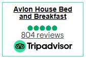 TripAdvisor 2024 Reviews