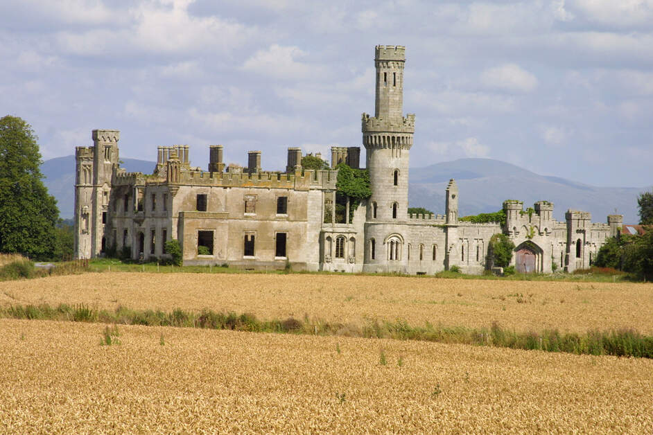 Ducketts Grove House Ruins, Co. Carlow