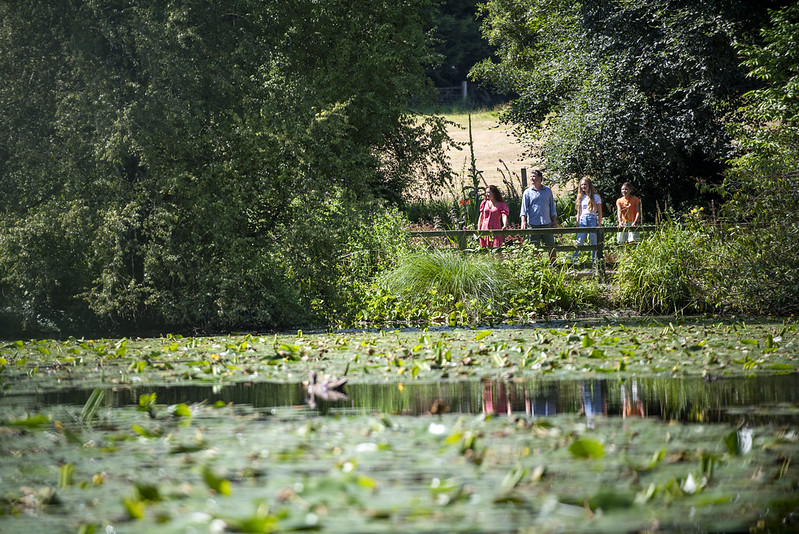 Altamont Gardens and Plant Sales