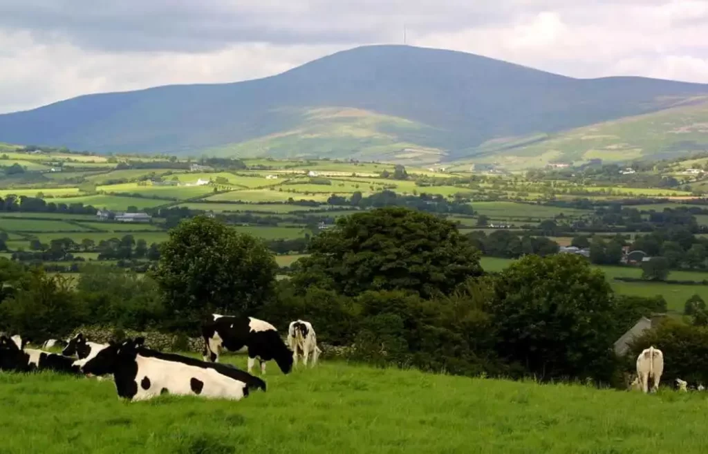 The South Leinster Way